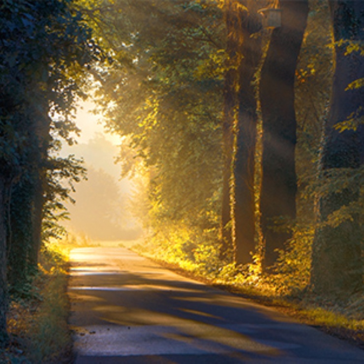 Hospitz Waldweg