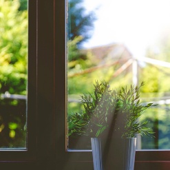 Blick aus Fenster Blick aus Fenster