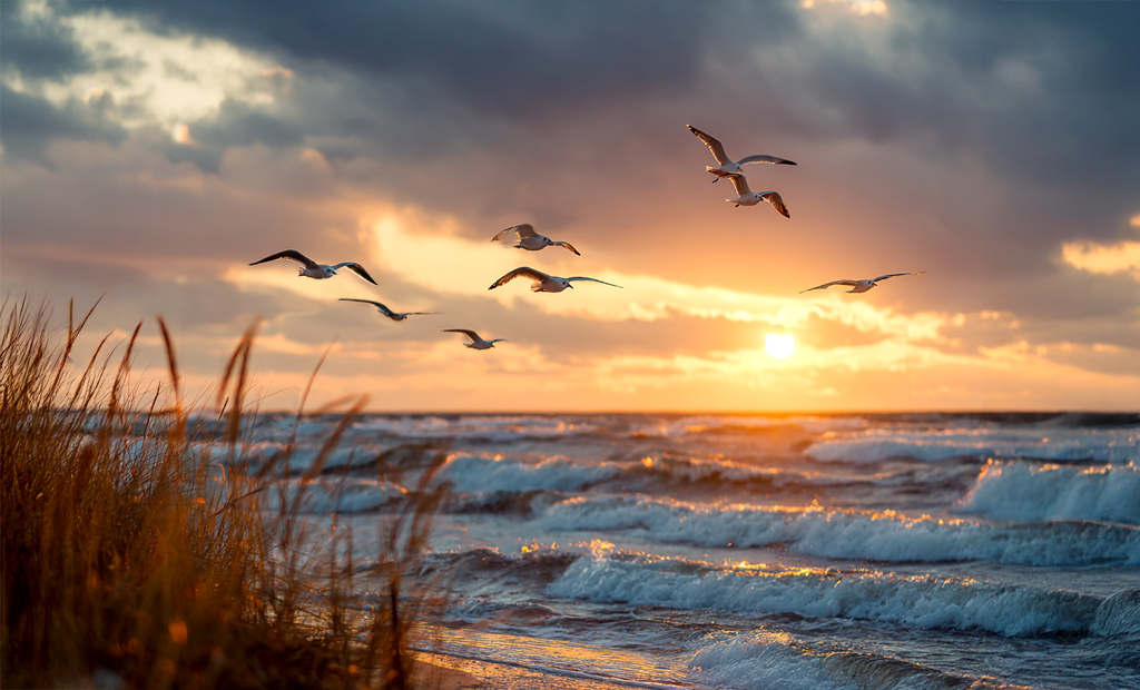 Verordnung und Kosten Paliativpflege