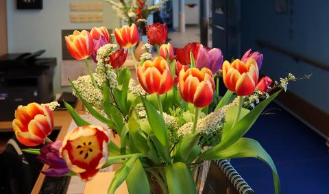 Der Duft von frischen Blumen wirkt positiv auf das Wohlbefinden