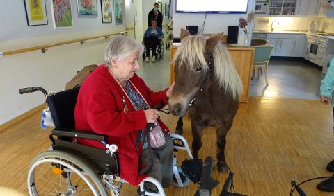 Tiere schenken Wärme und Vertrauen